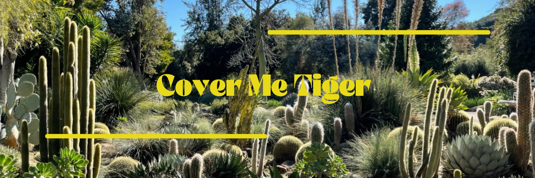 Cover Me Tiger