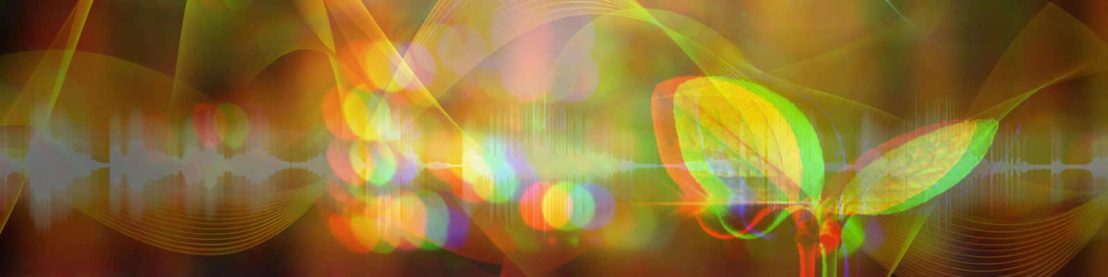 1:1 Sound Healing Coaching Session Bundle x10