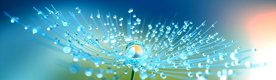 Scintilla Terapie Naturali Vibrazionali e Seminari Webinars Evolutivi e di Risveglio della Consapevolezza