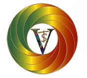 Learn to Play Gongs logo