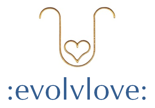 Evolvlove Sound & Light Academy logo